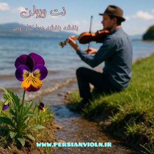 banafsheh نت ویولن بنفشه بنفشه دریا کنار اومد