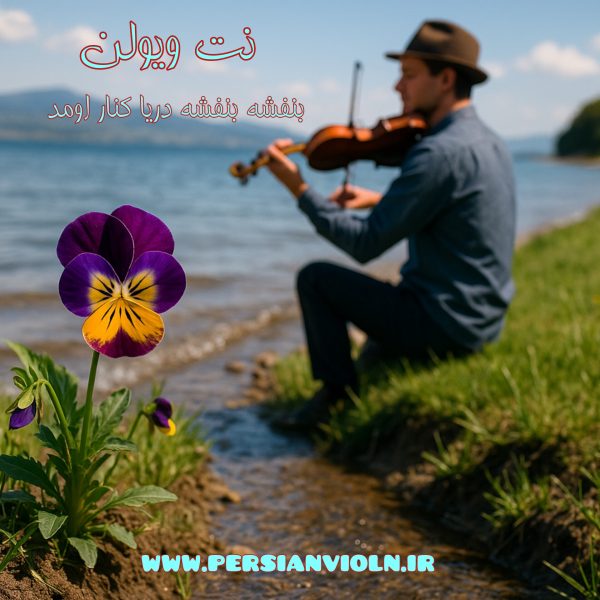 banafsheh نت ویولن بنفشه بنفشه دریا کنار اومد