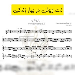 نت ویولن در بهار زندگی نت ویولن در بهار زندگی