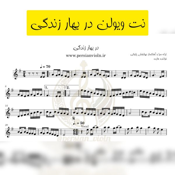 نت ویولن در بهار زندگی